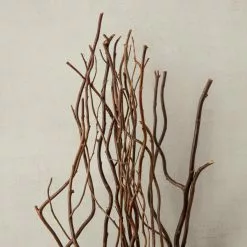 Brand new ???? Natural Curly Willow by Ashland® ✨ -Ashland Sales 10017457 25