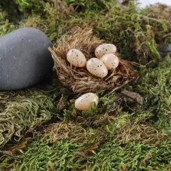 Wholesale ???? Nature Center Speckled Tan Eggs by Ashland® ???? -Ashland Sales 10029911 4