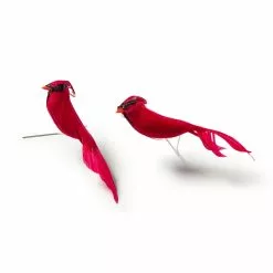 Promo ✔️ Cardinal Birds by Ashland® ???? -Ashland Sales 10029954 21