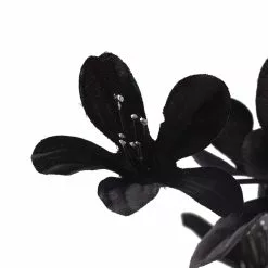 Discount ???? Azalea Spray Floral Essentials by Ashland® ???? -Ashland Sales 10035291 20