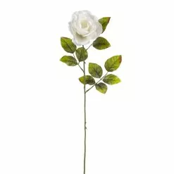 Cheap ✔️ Holland Rose Spray by Ashland® ????