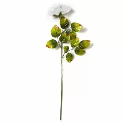 Cheap ✔️ Holland Rose Spray by Ashland® ???? -Ashland Sales 10056110 21