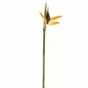 Coupon ???? 12 Pack: Yellow Bird of Paradise Stem by Ashland® ???? -Ashland Sales 10066898 1