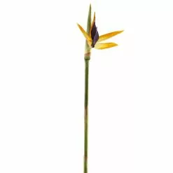 Coupon ???? 12 Pack: Yellow Bird of Paradise Stem by Ashland® ????