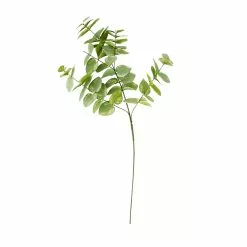 Hot Sale ???? Eucalyptus Branch by Ashland® ???? 7 Hot Sale ???? Eucalyptus Branch by Ashland® ???? -Ashland Sales 10067587 30