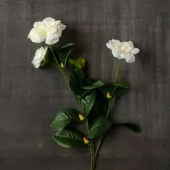 Buy ???? Gardenia Spray by Ashland® ???? -Ashland Sales 10107972 25