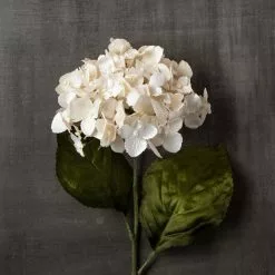 Brand new ✨ Pearl Hydrangea Stem by Ashland® ???? -Ashland Sales 10110873 25