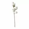 Buy ⌛ Pearl ???? Dogwood Spray by Ashland® ???? -Ashland Sales 10110877 21
