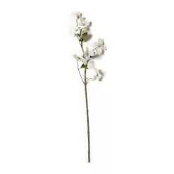 Buy ⌛ Pearl ???? Dogwood Spray by Ashland® ????
