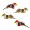 Best Sale ❤️ 12 Packs: 4 ct. (48 total) Assorted Mushroom Birds by Ashland® ???? 1 Best Sale ❤️ 12 Packs: 4 ct. (48 total) Assorted Mushroom Birds by Ashland® ???? -Ashland Sales 10128788 1