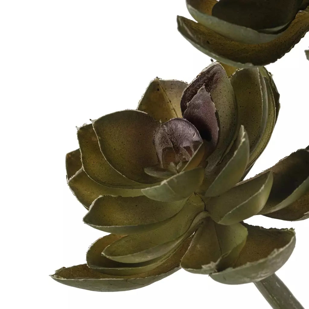 Hot Sale ⭐ Ashland® Succulent Pick ???? 5 Hot Sale ⭐ Ashland® Succulent Pick ???? - Image 3