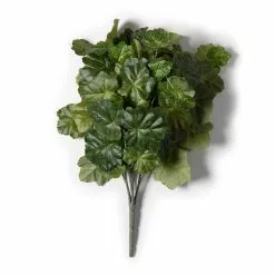 Outlet ???? Coral Bell Bush by Ashland® ????