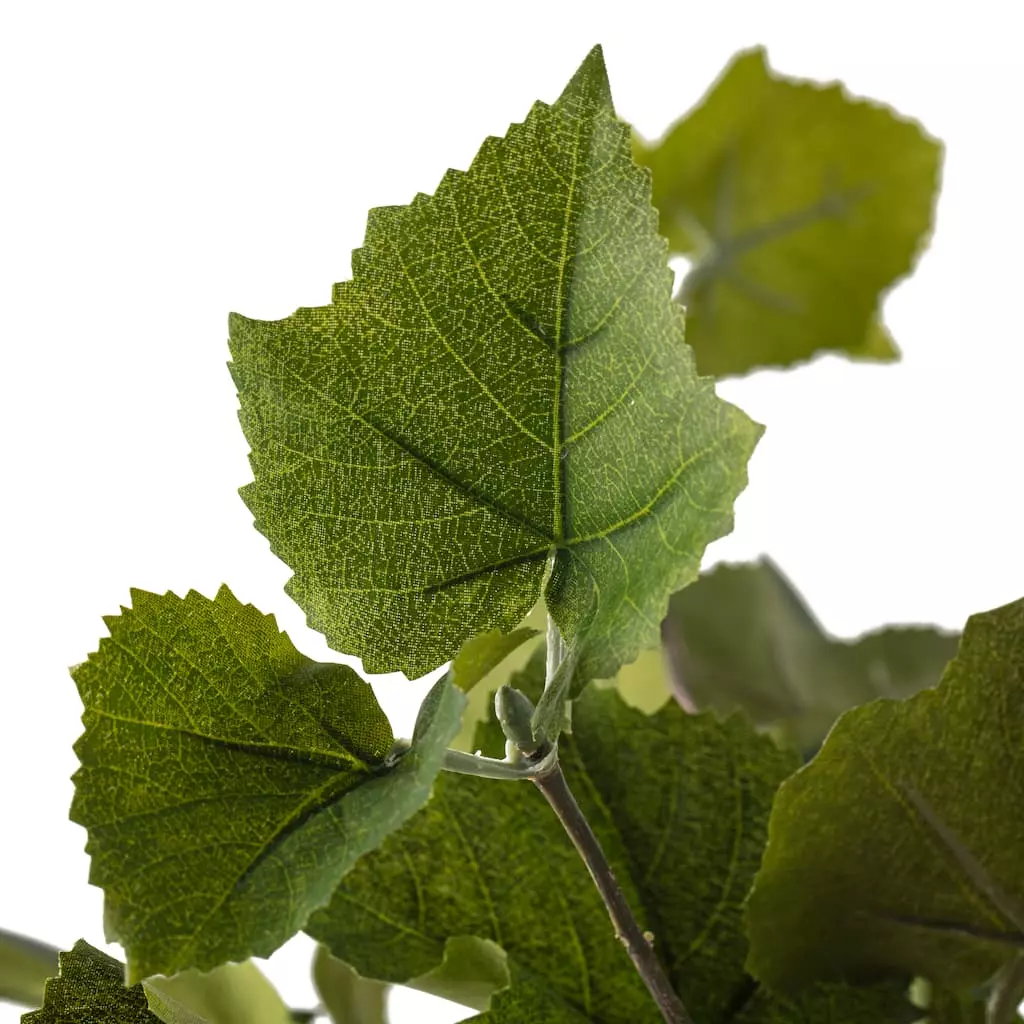 Promo ???? Green Hanging Grape Leaf Bush by Ashland® ???? 5 Promo ???? Green Hanging Grape Leaf Bush by Ashland® ???? - Image 3