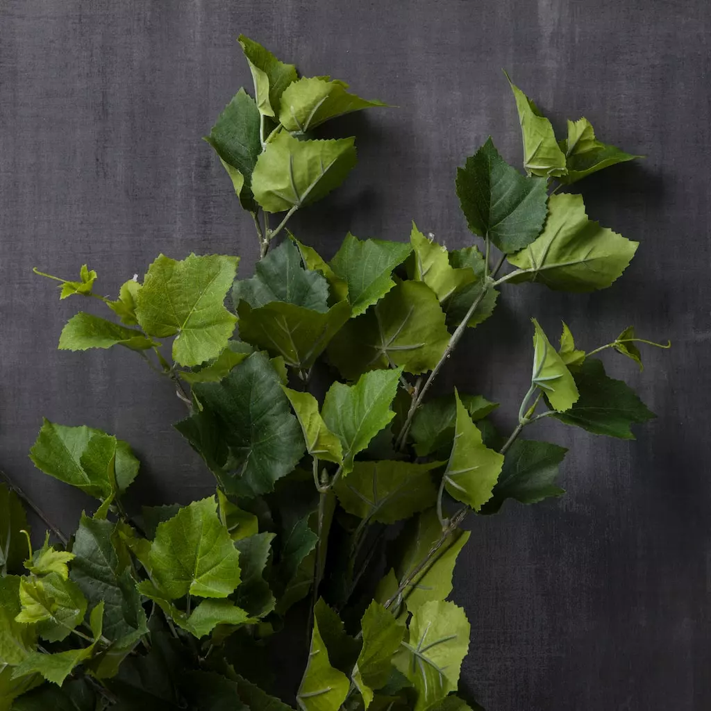 Promo ???? Green Hanging Grape Leaf Bush by Ashland® ???? 4 Promo ???? Green Hanging Grape Leaf Bush by Ashland® ???? - Image 2