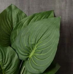 Outlet ???? Hosta Bush Real Touch Collection by Ashland® ???? -Ashland Sales 10131106 25
