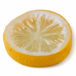 Best Sale ???? Assorted Fruit Slice Décor Accent by Ashland® ???? -Ashland Sales 10131162 21