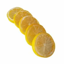 Best Sale ???? Assorted Fruit Slice Décor Accent by Ashland® ???? -Ashland Sales 10131162 4