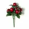 Brand new ???? Red Apple Bush by Ashland® ???? -Ashland Sales 10131164 21