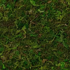 Coupon ✨ Moss Mat by Ashland® ???? -Ashland Sales 10135027 22