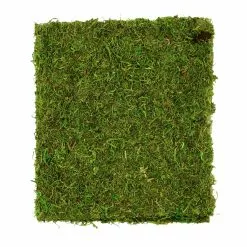 Coupon ✨ Moss Mat by Ashland® ???? -Ashland Sales 10135027 3