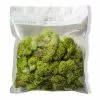 Brand new ???? Ashland® Reindeer Moss ???? -Ashland Sales 10135038 20