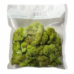 Brand new ???? Ashland® Reindeer Moss ????