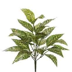 New ???? Zebra Bush Classic Greenery by Ashland® ????