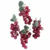 Best reviews of ???? 8 Packs: 4 ct. (32 total) Purple Grapes by Ashland® ????