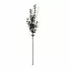 Top 10 ???? Black Eucalyptus Spray Floral Essentials by Ashland® ???? -Ashland Sales 10158724 21
