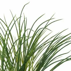 Best Sale ❤️ Assorted Grass Bush by Ashland® ???? -Ashland Sales 10189538 20