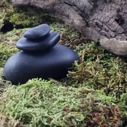 Top 10 ???? Preserved Forest Moss by Ashland® ???? -Ashland Sales 10204602 3