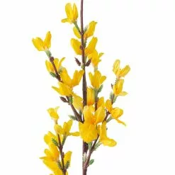 Best Pirce ???? Forsythia Branch Floral Essentials by Ashland® ⌛ -Ashland Sales 10205308 20