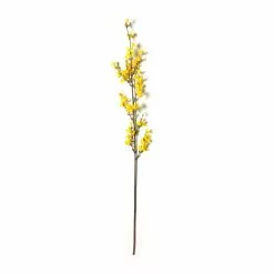 Best Pirce ???? Forsythia Branch Floral Essentials by Ashland® ⌛