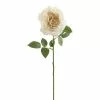 Top 10 ???? 12 Pack: White Sophia Rose Stem by Ashland® ????