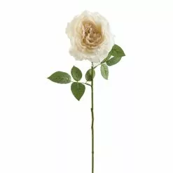 Top 10 ???? 12 Pack: White Sophia Rose Stem by Ashland® ????