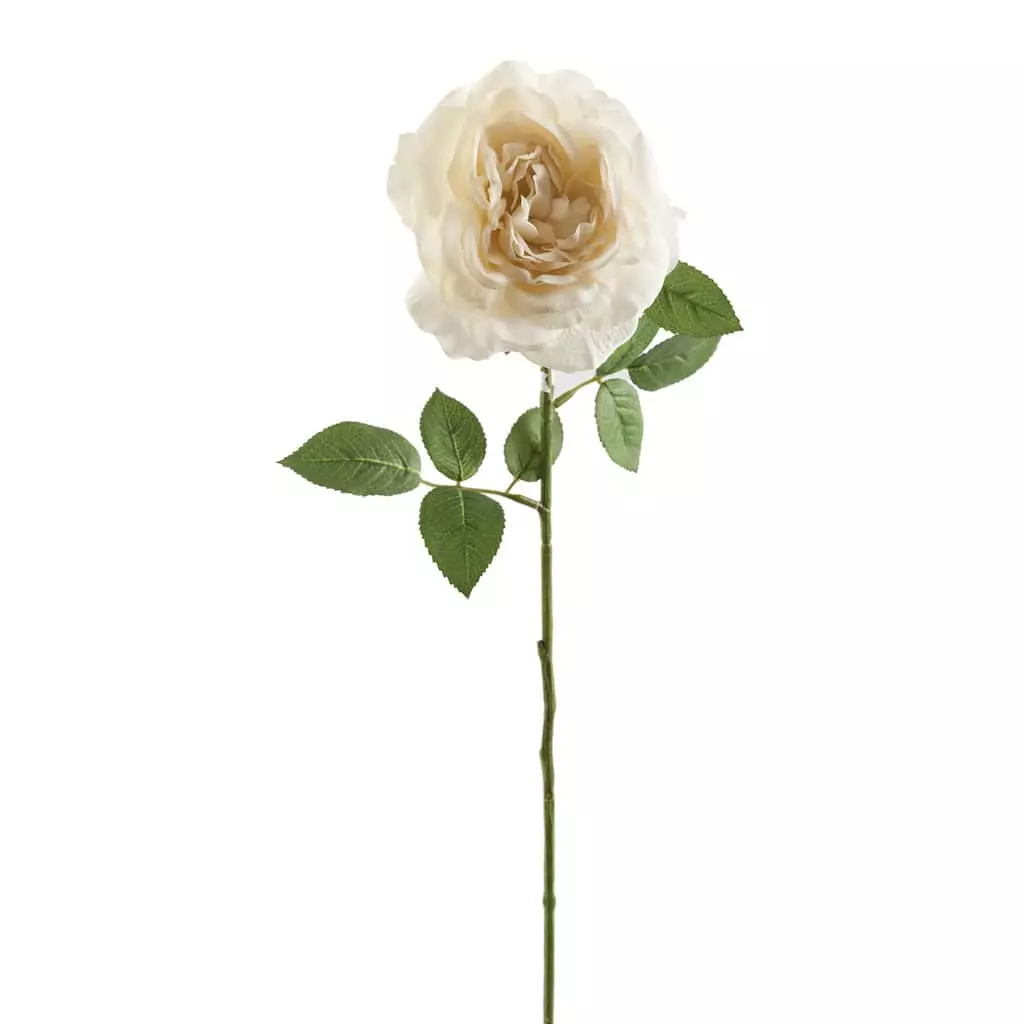 Cheap ???? White Sophia Rose Stem by Ashland® ???? 3 Cheap ???? White Sophia Rose Stem by Ashland® ????
