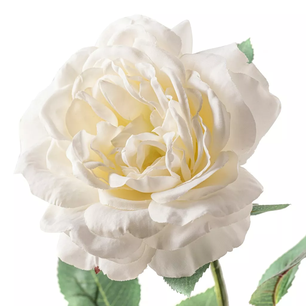 Cheap ???? White Sophia Rose Stem by Ashland® ???? 4 Cheap ???? White Sophia Rose Stem by Ashland® ???? - Image 2