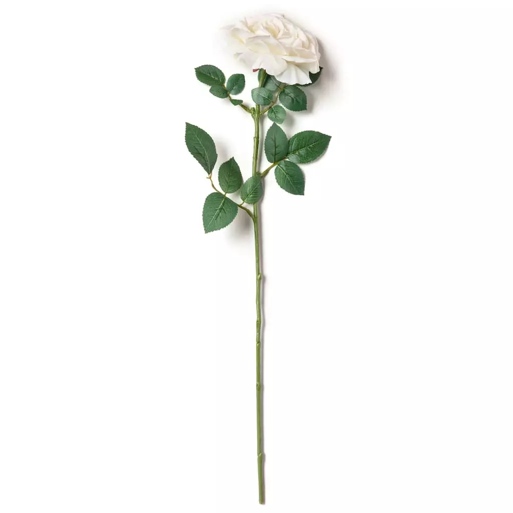 Cheap ???? White Sophia Rose Stem by Ashland® ???? 5 Cheap ???? White Sophia Rose Stem by Ashland® ???? - Image 3