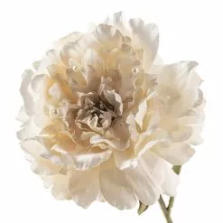 Top 10 ✨ Cream Peony Stem with Pearl by Ashland® ✔️ -Ashland Sales 10213485 20