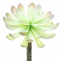 Budget ⌛ 12 Pack: Assorted Red Tipped Succulent Pick by Ashland® ???? -Ashland Sales 10229986 3