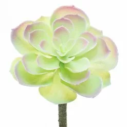 Budget ⌛ 12 Pack: Assorted Red Tipped Succulent Pick by Ashland® ???? -Ashland Sales 10229986 5