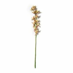 Hot Sale ???? Tropical Cymbidium Stem by Ashland® ????