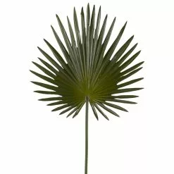 Flash Sale ✔️ 6 Pack: Green Fan Palm Stem by Ashland® ✔️