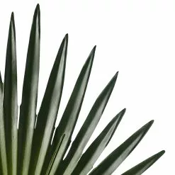 Wholesale ✨ Tropical Fan Palm Stem by Ashland® ???? -Ashland Sales 10230923 20