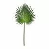 Wholesale ✨ Tropical Fan Palm Stem by Ashland® ???? -Ashland Sales 10230923 21