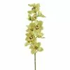 Cheapest ???? 8 Pack: Pale Green Boat Orchid Stem by Ashland® ???? 1 Cheapest ???? 8 Pack: Pale Green Boat Orchid Stem by Ashland® ???? -Ashland Sales 10230928