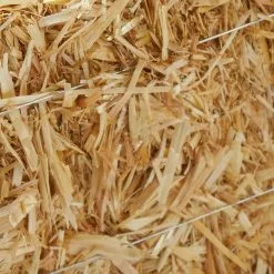 Best Pirce ???? Decorative Straw Bale by Ashland® ⌛ -Ashland Sales 10234532 13