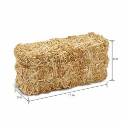 Best Pirce ???? Decorative Straw Bale by Ashland® ⌛ -Ashland Sales 10234532 14