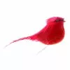 Discount ???? 24 Pack: Small Cardinal Bird by Ashland® ???? 1 Discount ???? 24 Pack: Small Cardinal Bird by Ashland® ???? -Ashland Sales 10239959 1