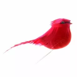 Cheapest ???? Small Cardinal Bird by Ashland® ????